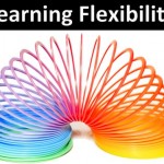 learning-flexibility