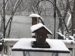Bird Houses covered in snow - "Even the birds have fled the scene."
